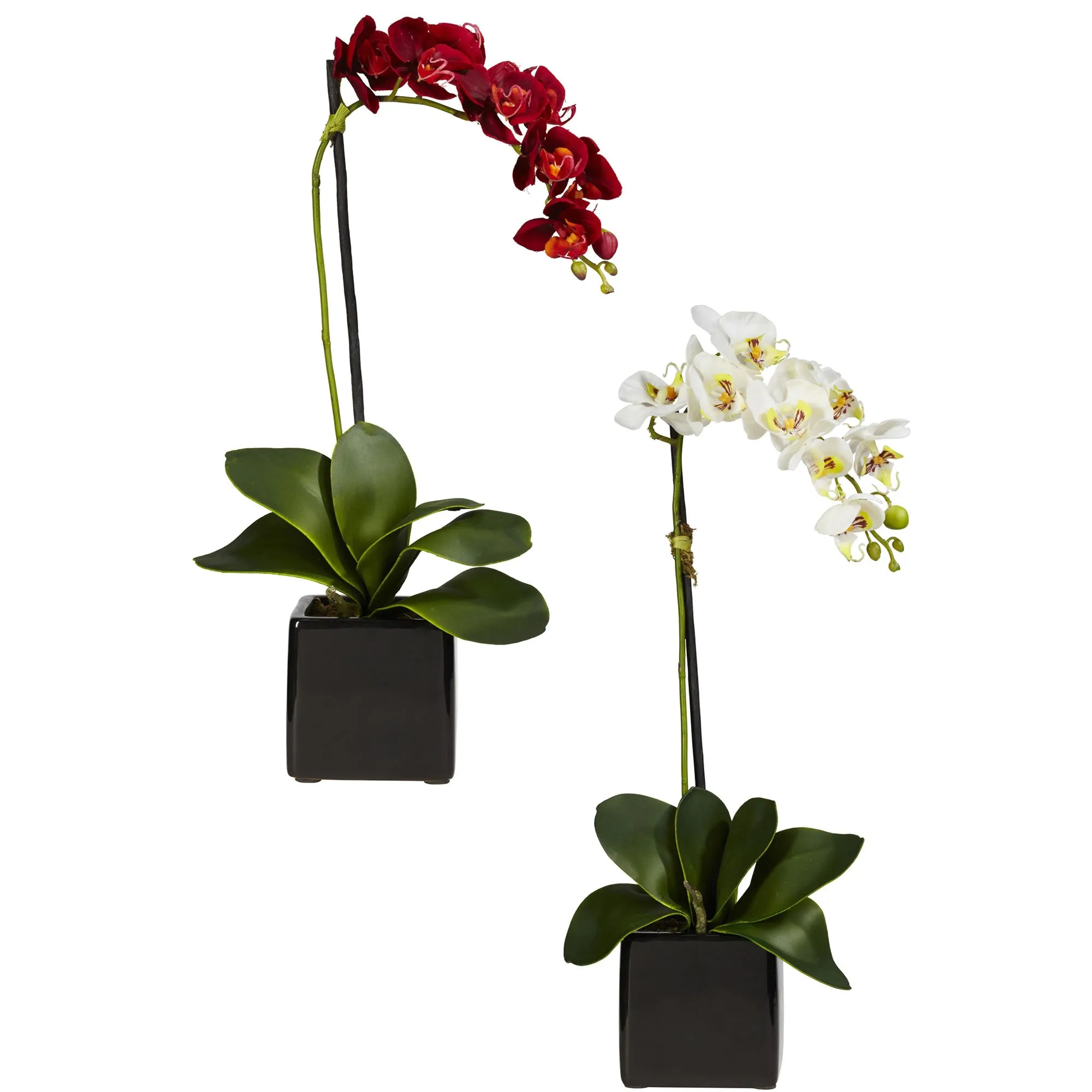 20" Artificial Phaleanopsis Orchid Arrangement w/Black Vase (Set of 2) - Low Maintenance, Life-Like & Vibrant Silk Flowers For Busy People.
