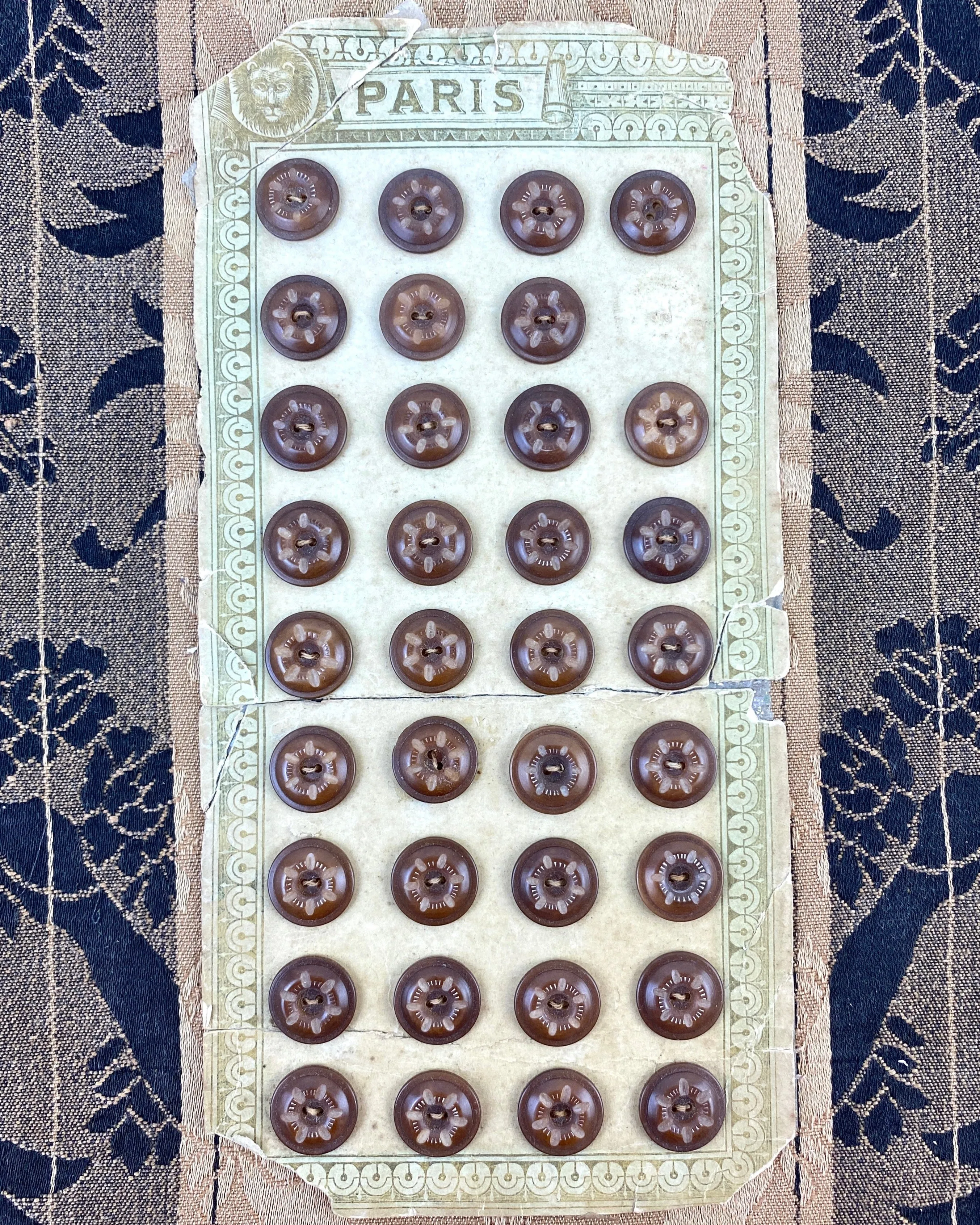 Antique Victorian Brown Carved Vegetable Ivory Shank Buttons x35