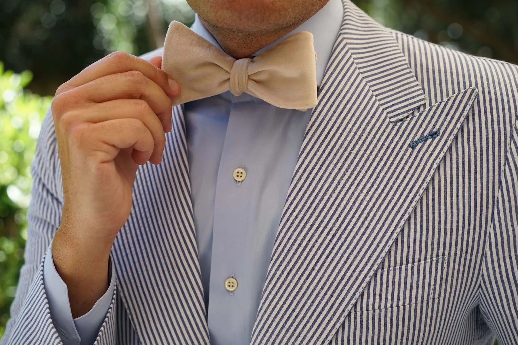 Beige Velvet Self Bow Tie