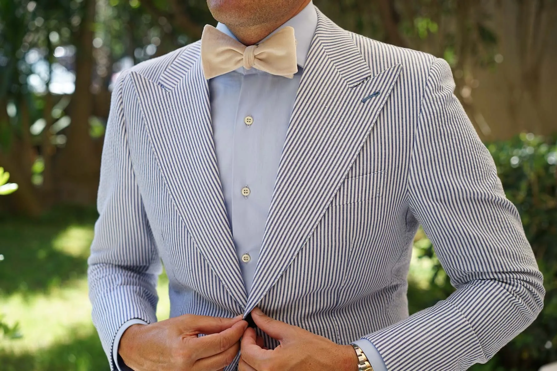 Beige Velvet Self Bow Tie