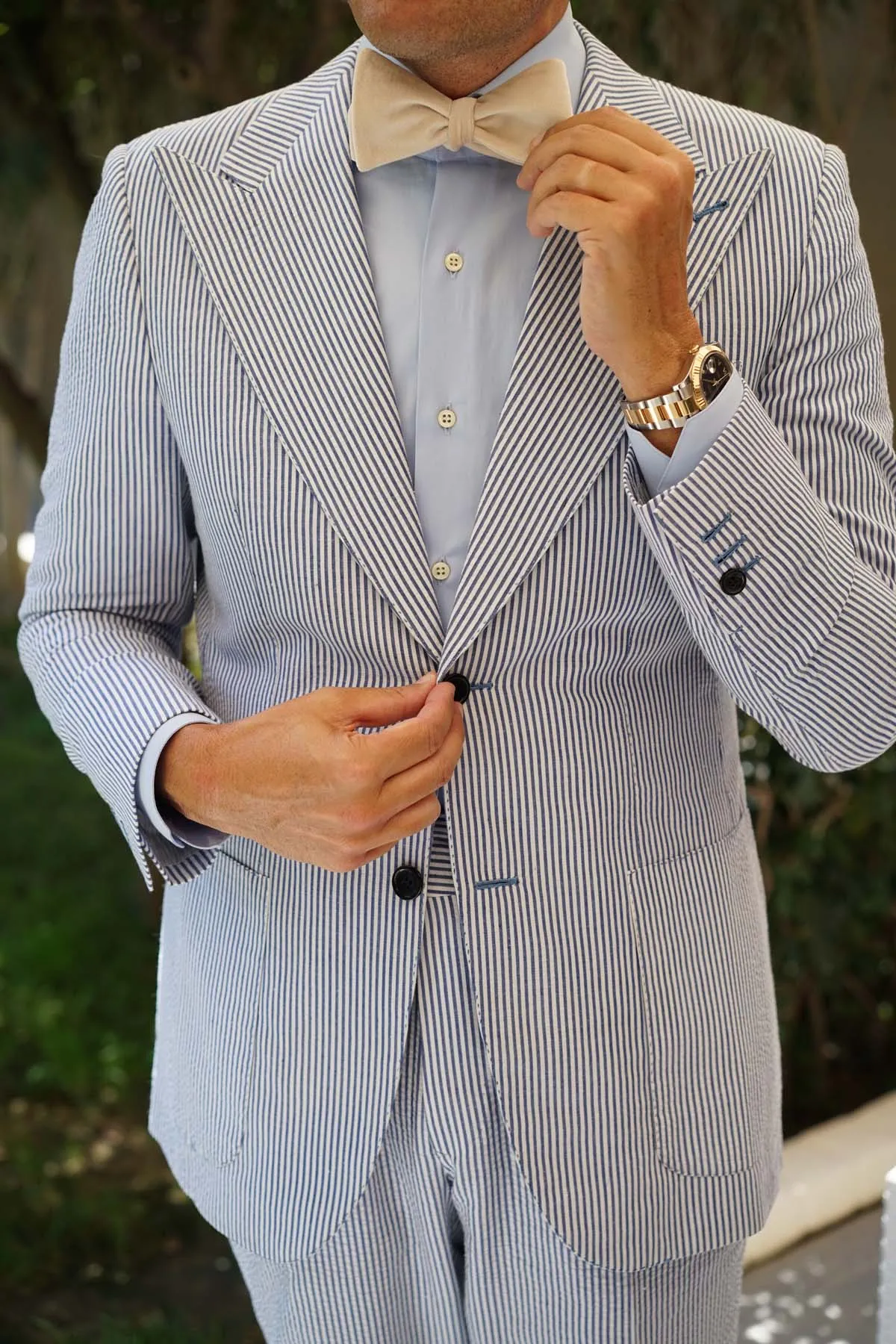 Beige Velvet Self Bow Tie