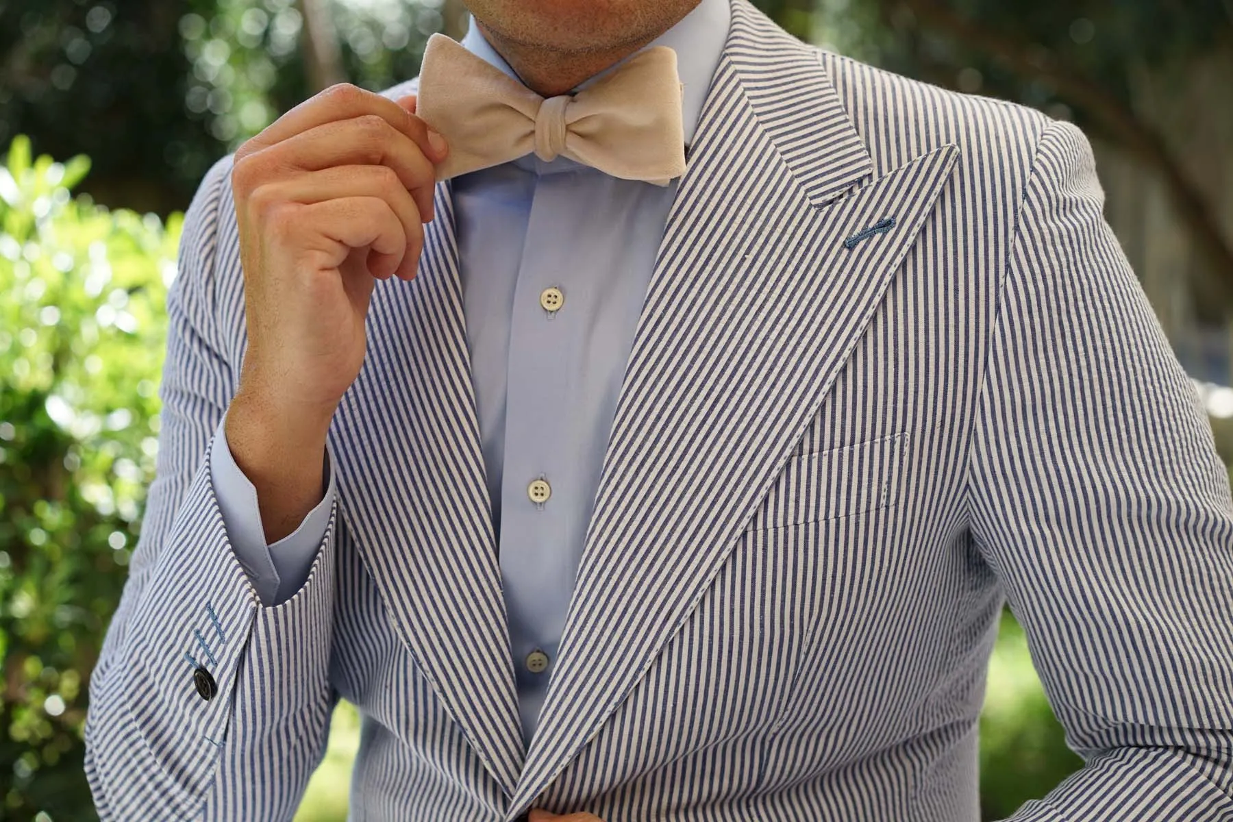 Beige Velvet Self Bow Tie
