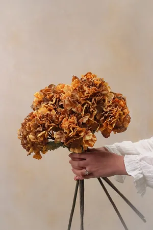 Faux Honey Dried Touch Ruffle Hydrangea