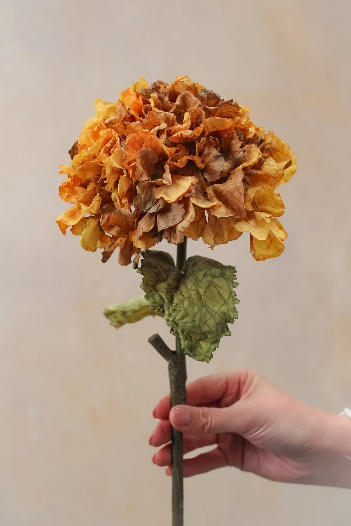 Faux Honey Dried Touch Ruffle Hydrangea