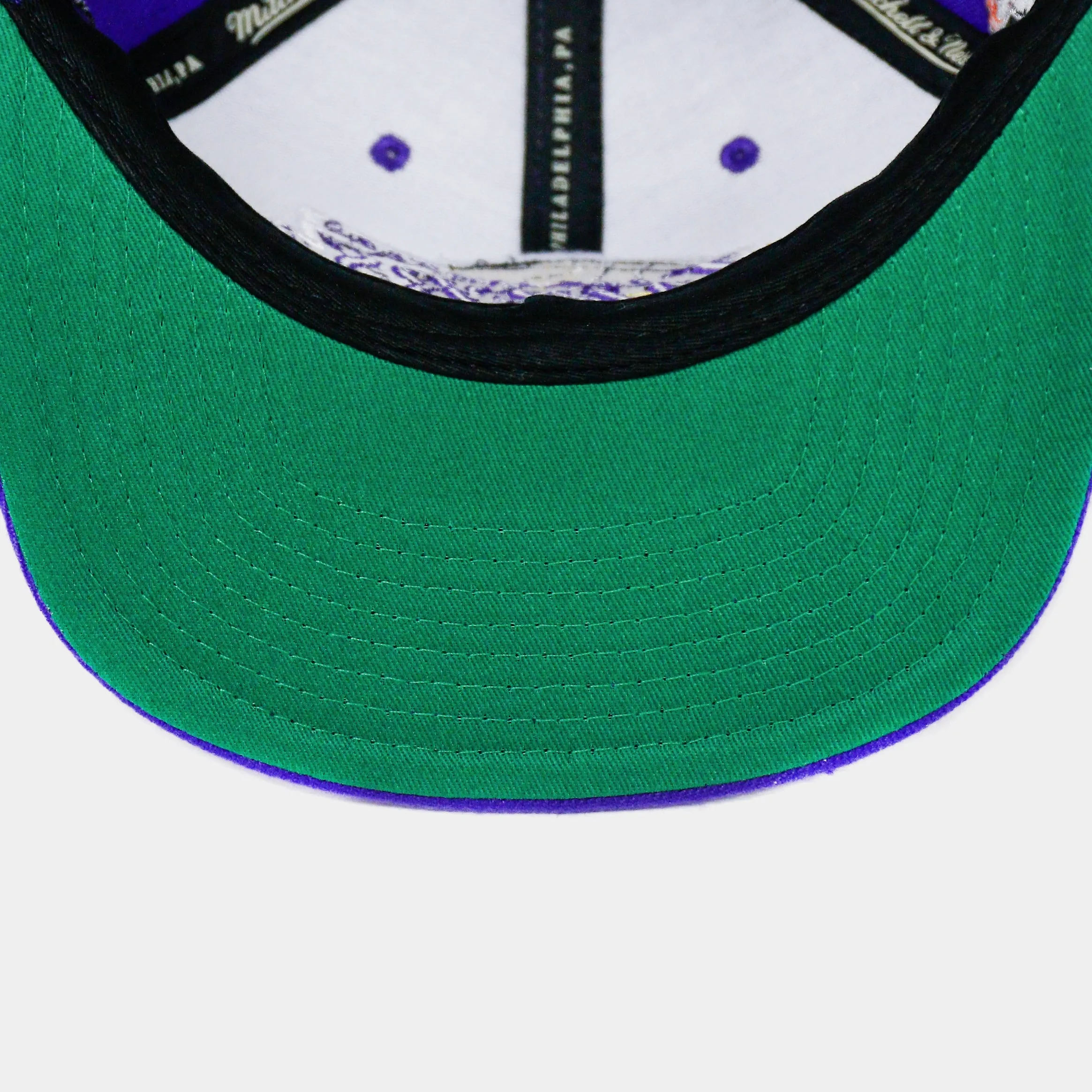 Los Angeles Lakers Snapabck Cap Mens Hat (Purple)